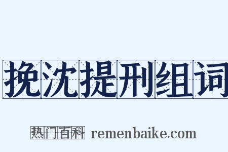 挽沈提刑组词是什么意思的图片